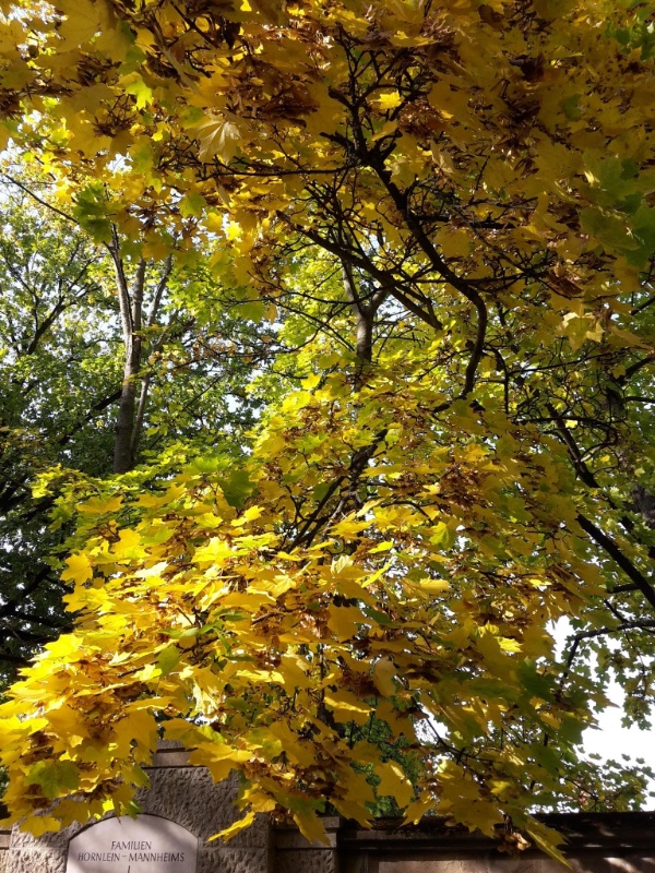 Profilbild von Angelika Hofmann