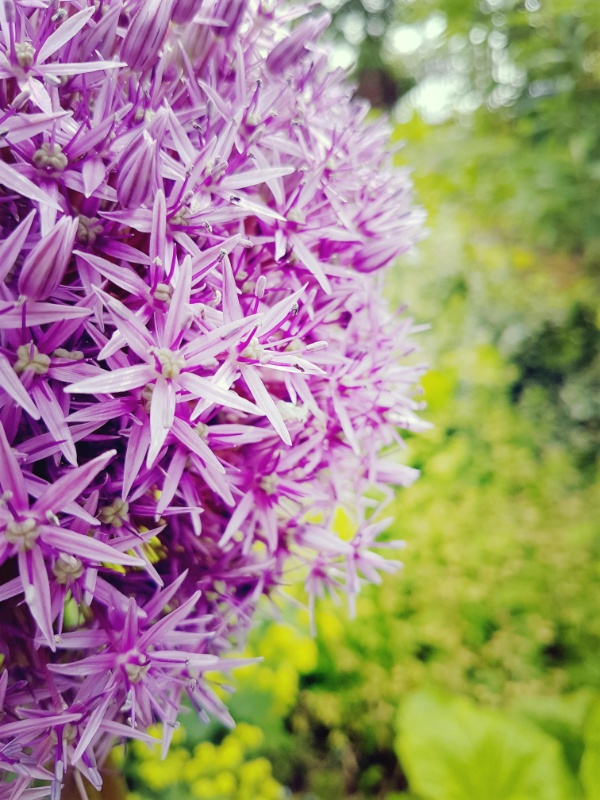 Profilbild von Annemarie Brümmer