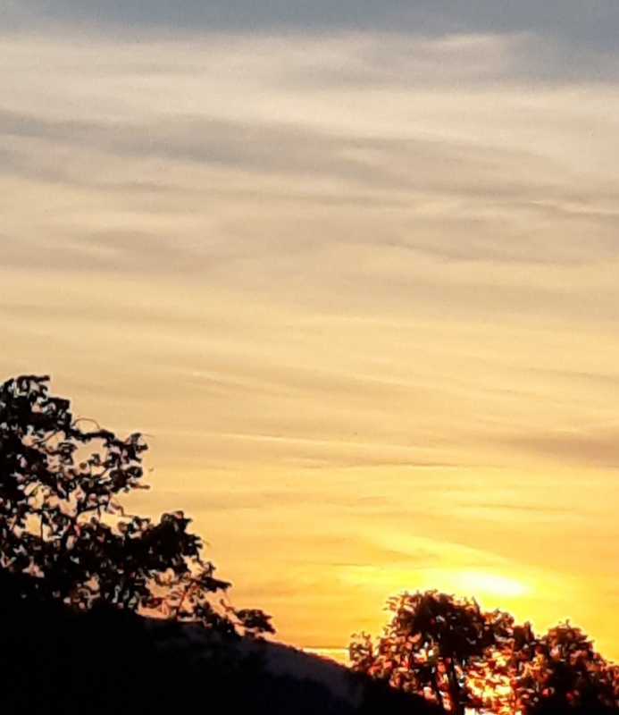 Profilbild von Antje Köster