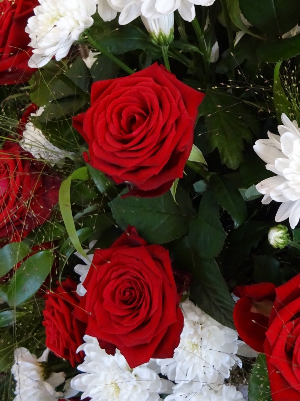 Profilbild von Bernd Nicolai