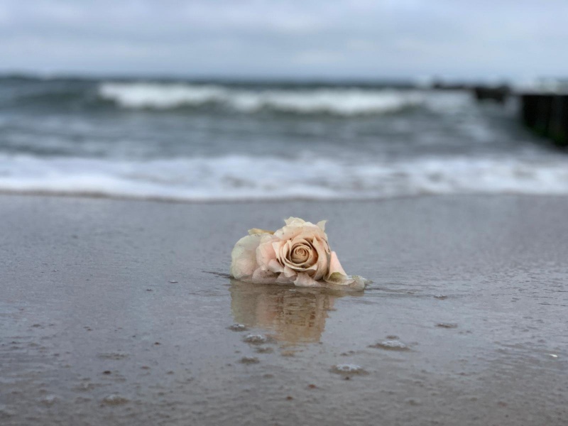 Profilbild von Brigitte Braunsdorf