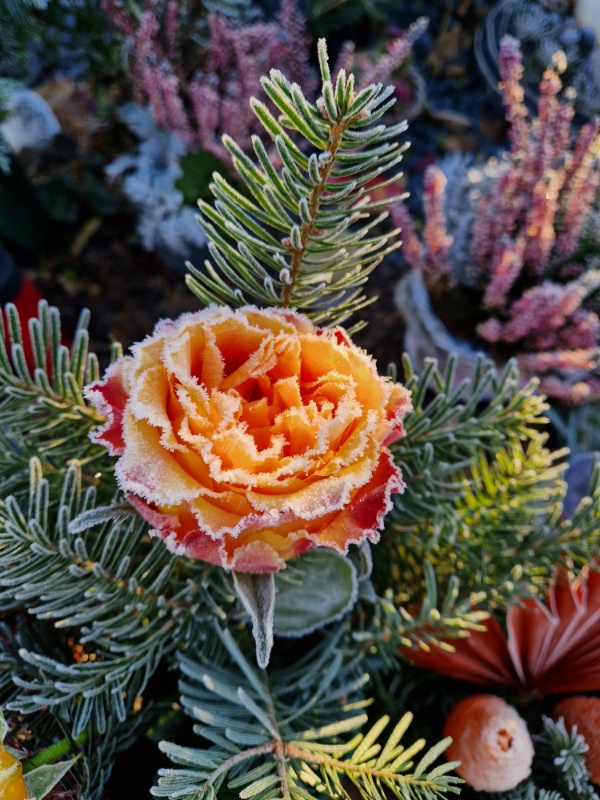 Profilbild von Christian Link