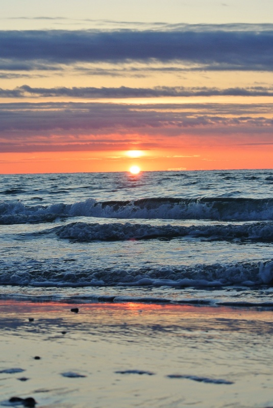 Profilbild von Daniel Urau