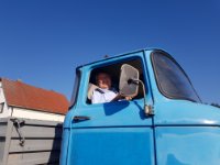 das zu meldende Bild