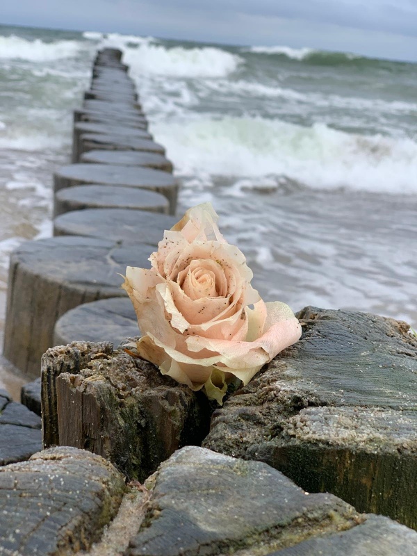 Profilbild von Wolfgang Völkel